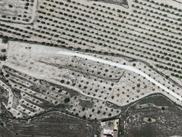 Land In Pinoso, Spain (17.589 M² Plot)
