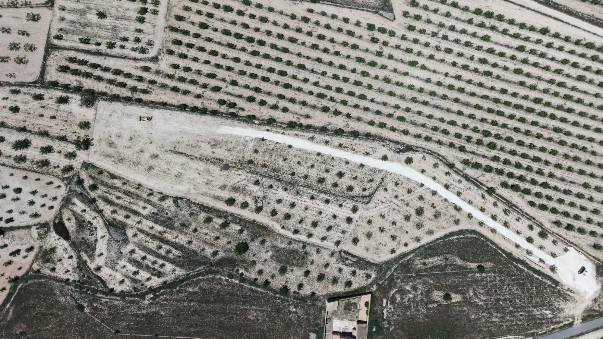Land Of 0 M² In Pinoso, Spain