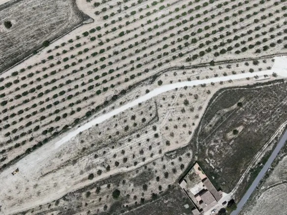 Land In Pinoso, Spain (17.589 M² Plot)
