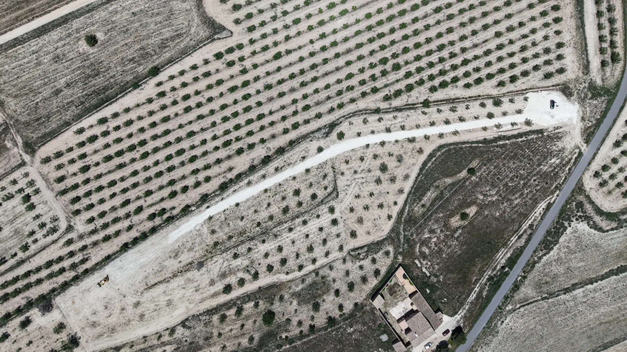 Land Of 0 M² In Pinoso, Spain