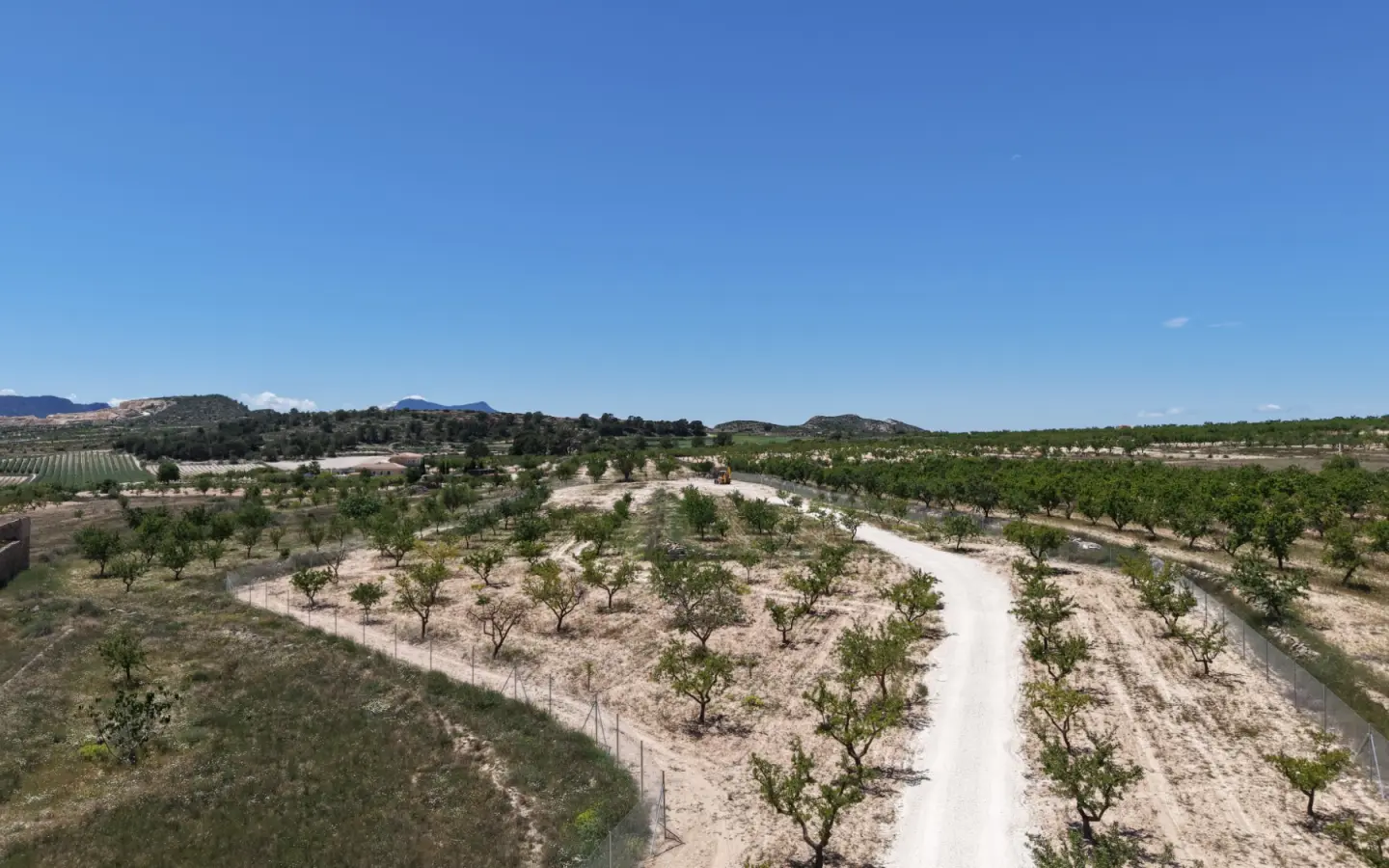 Land 0 M² In Pinoso, Spain