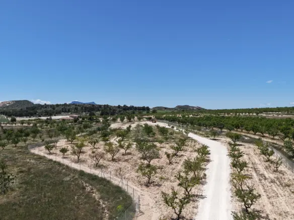 Land In Pinoso, Spain (17.589 M² Plot)