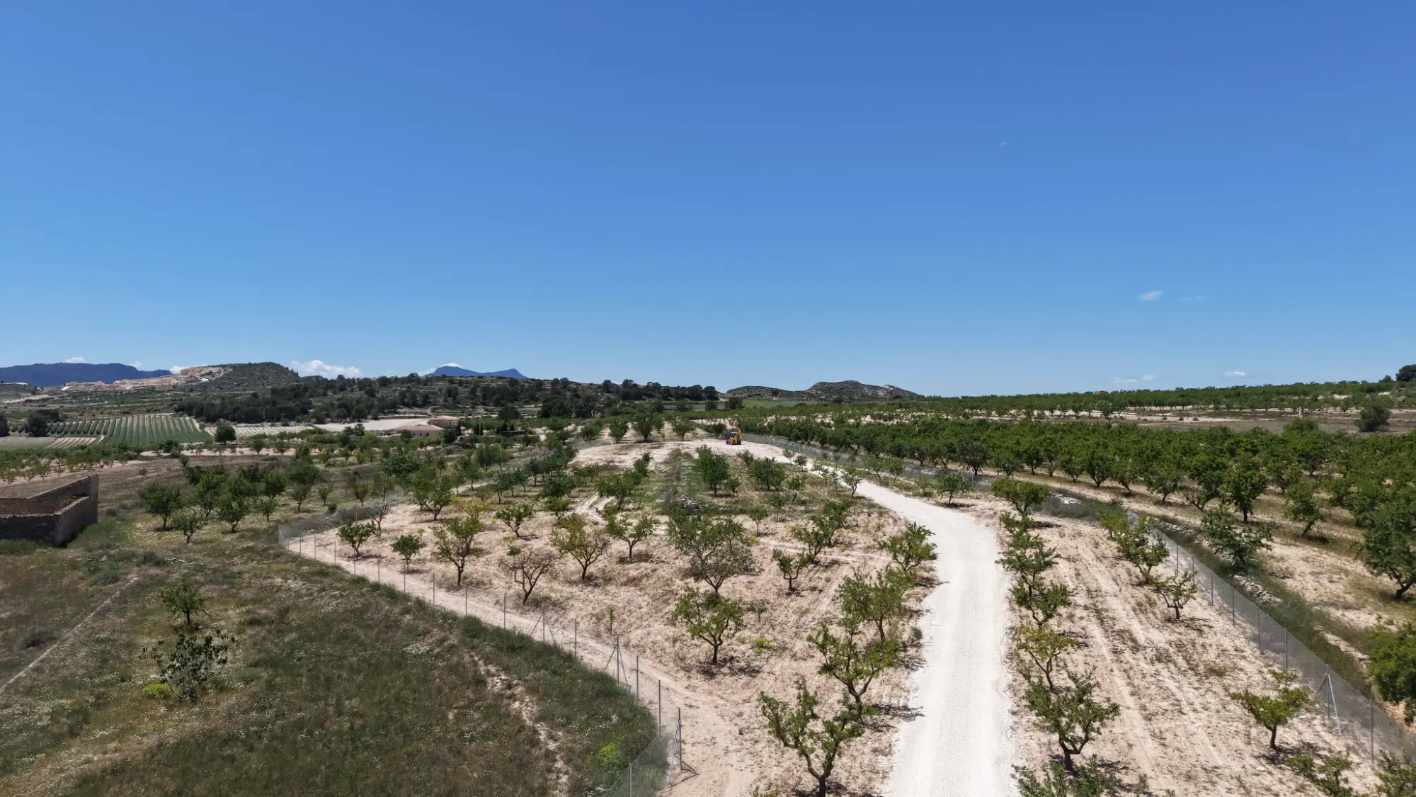 Land Of 0 M² In Pinoso, Spain