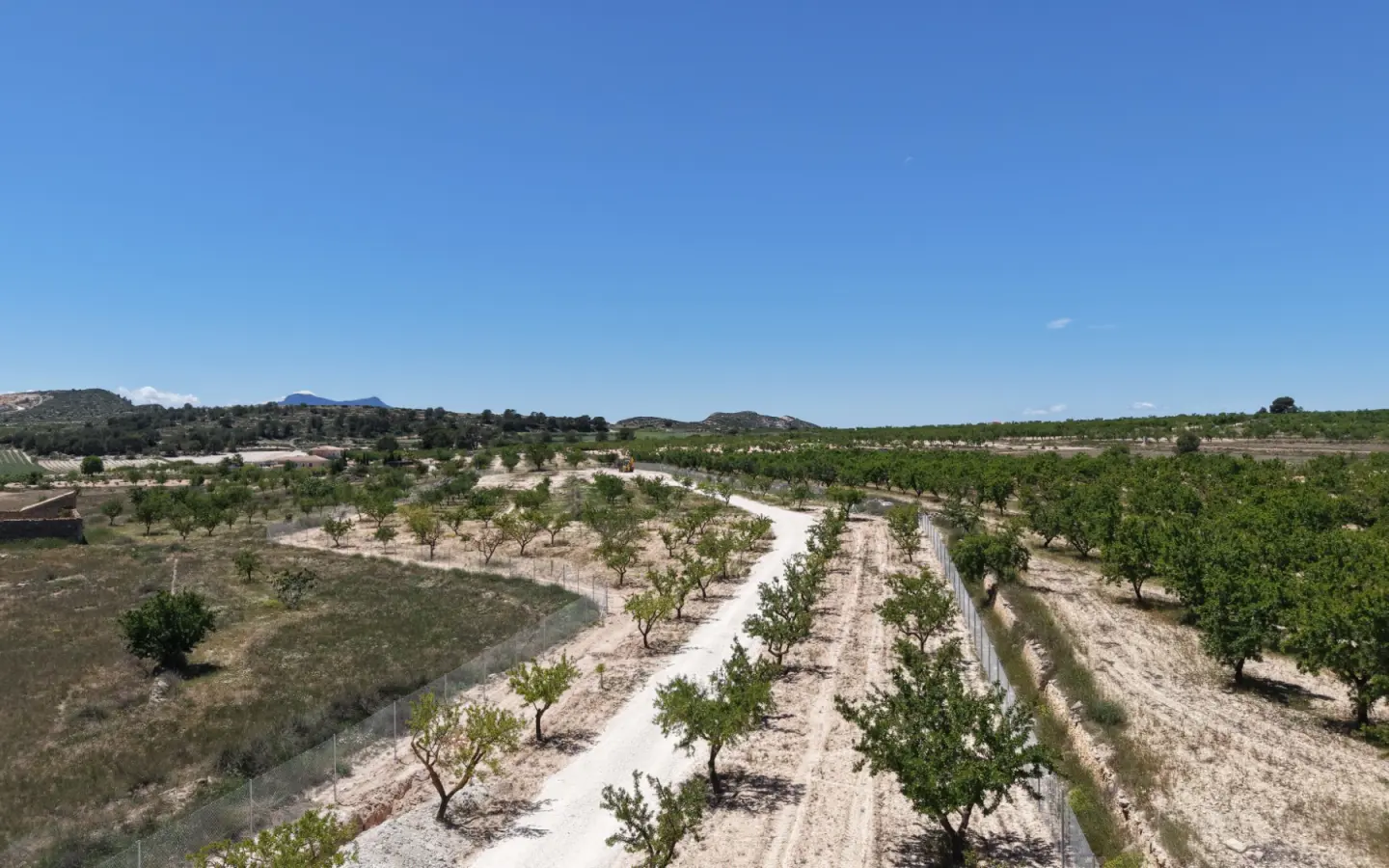 Land 0 M² In Pinoso, Spain