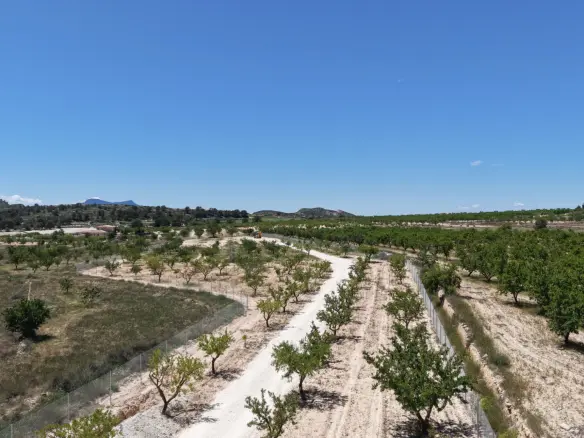 Land In Pinoso, Spain (17.589 M² Plot)