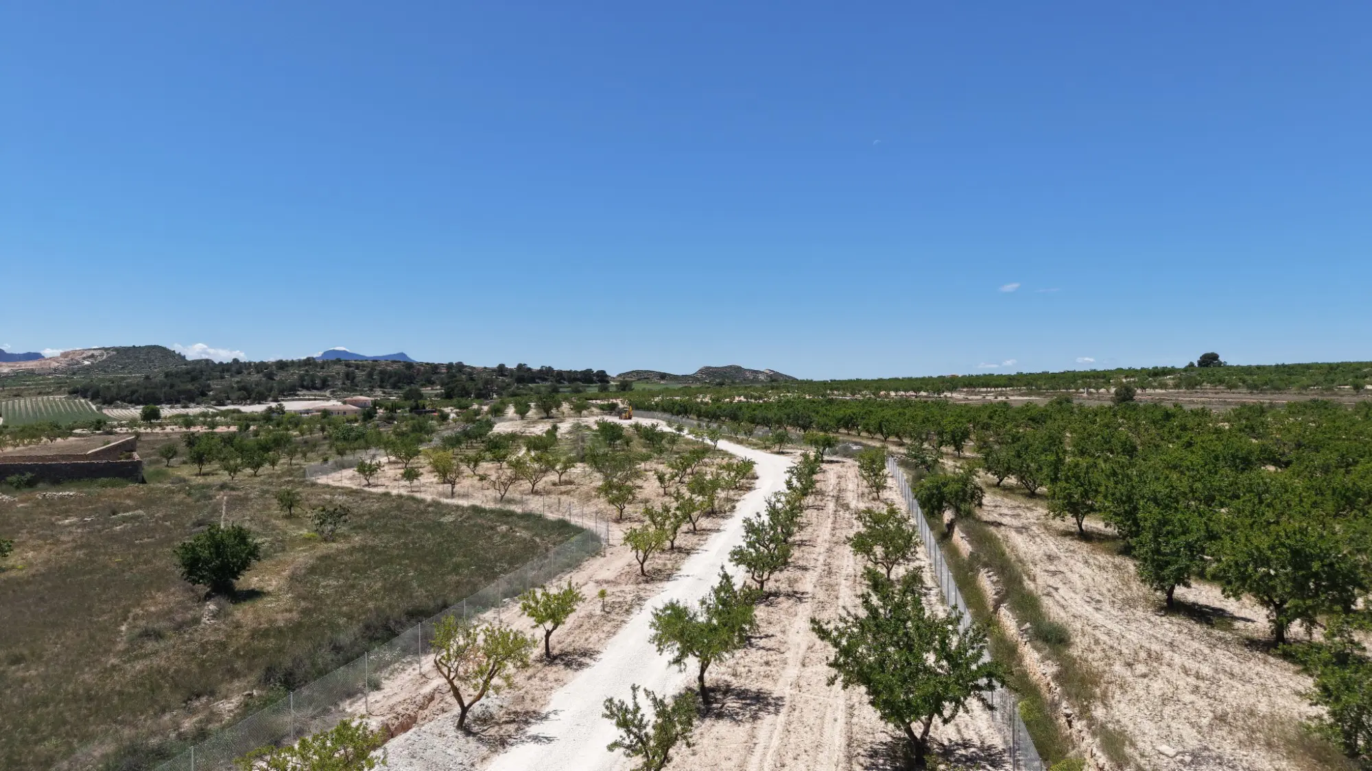 Land Of 0 M² In Pinoso, Spain