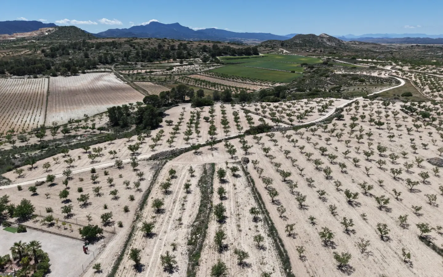 Land 0 M² In Pinoso, Spain