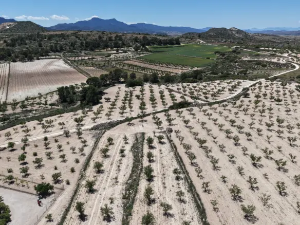 Land In Pinoso, Spain (17.589 M² Plot)
