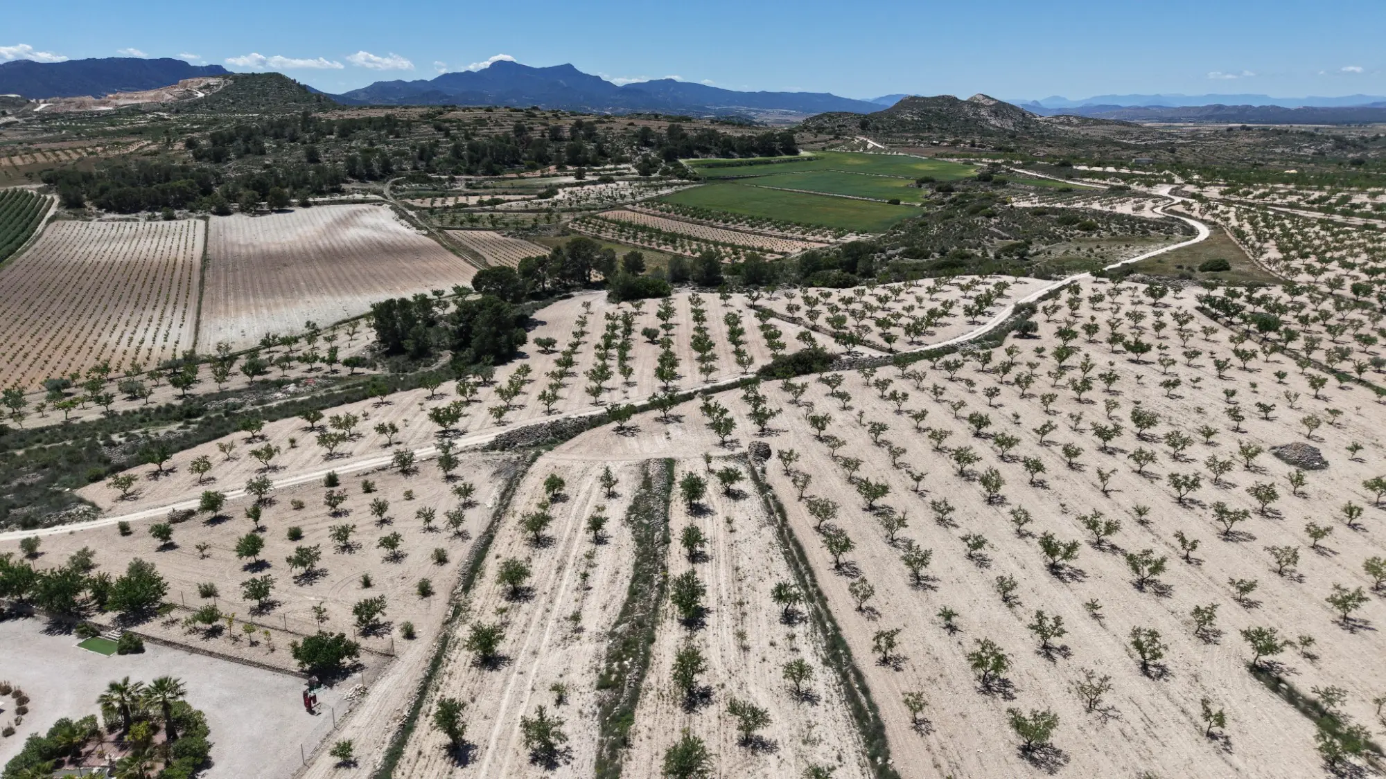 Land Of 0 M² In Pinoso, Spain
