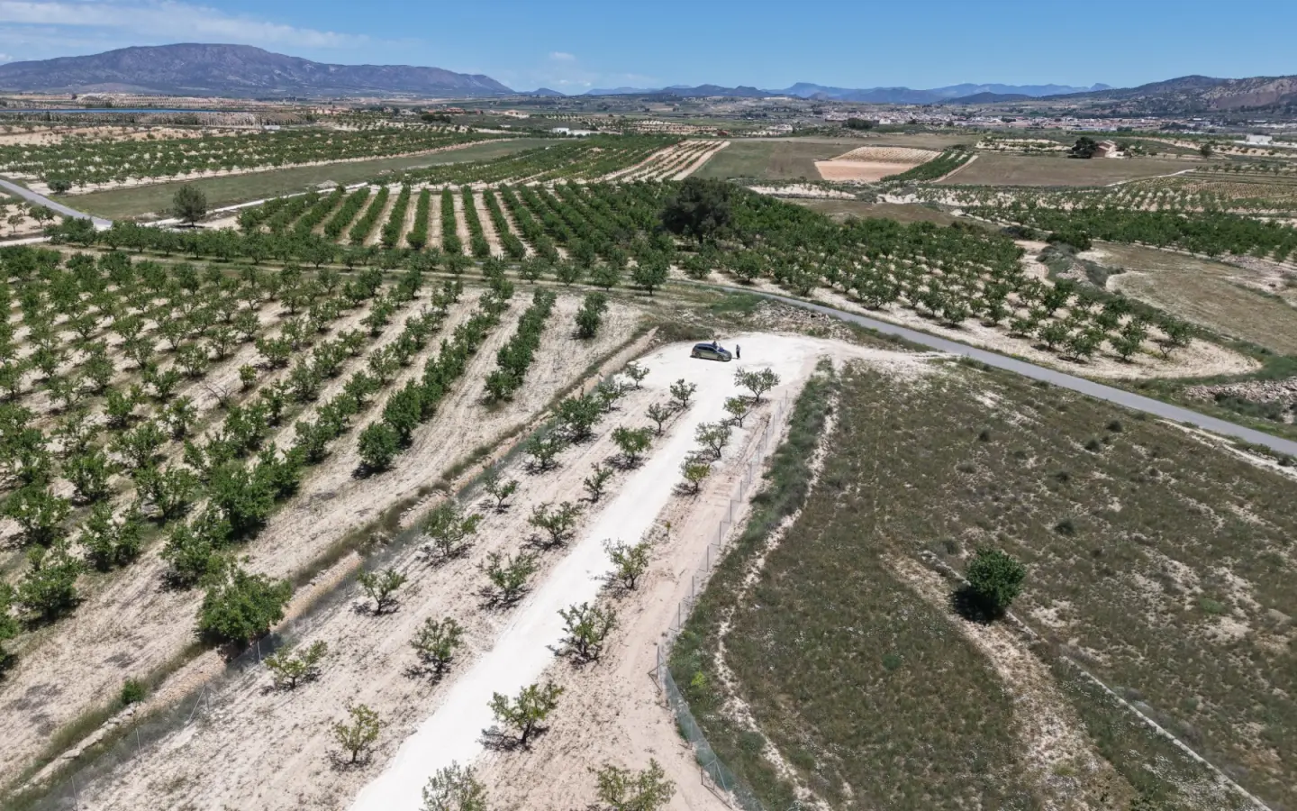 Land 0 M² In Pinoso, Spain