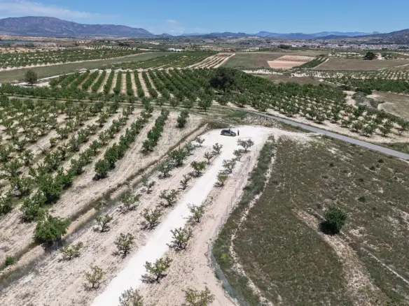 Land In Pinoso, Spain (17.589 M² Plot)