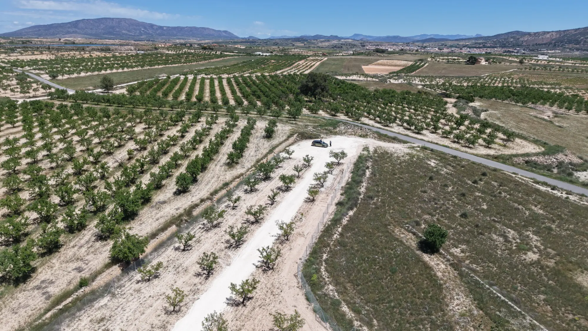 Land Of 0 M² In Pinoso, Spain