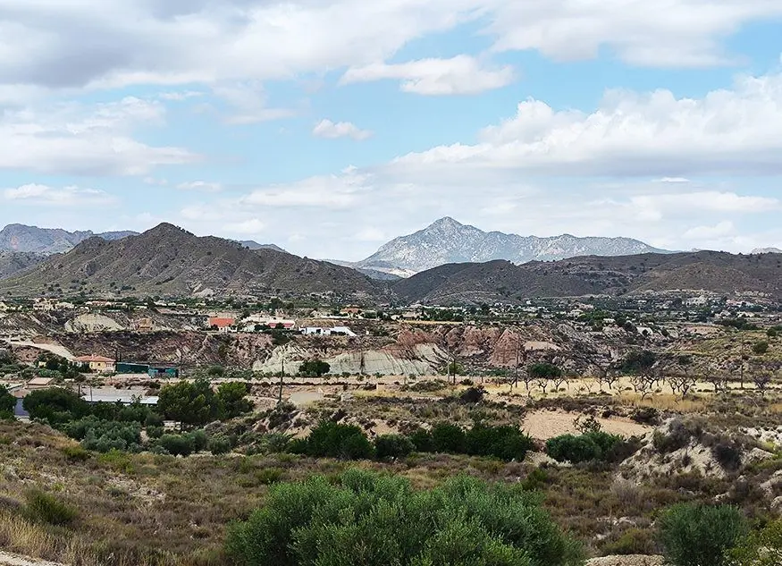 Detached Villa Of 230 M² In Abanilla, Spain