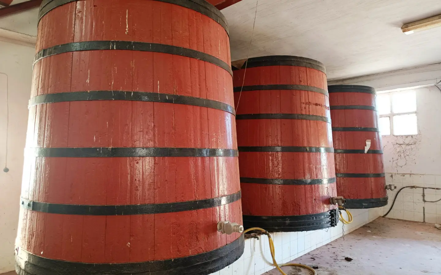 Commercial In Hondón De Los Frailes, Spain (1.929 M²)