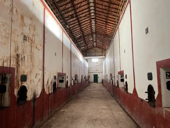 Commercial In Hondón De Los Frailes, Spain (1.929 M²)