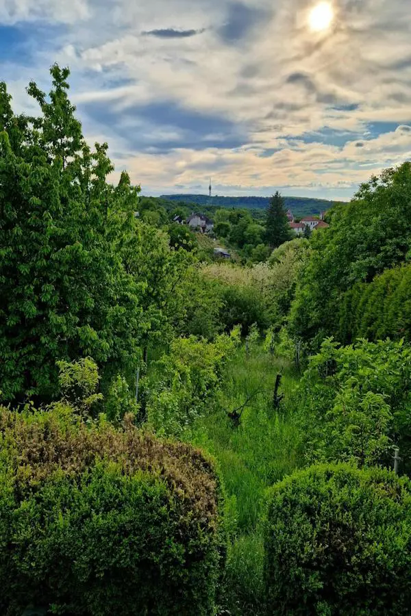 House Of 100 M² With Garden In Zalaegerszeg, Zala
