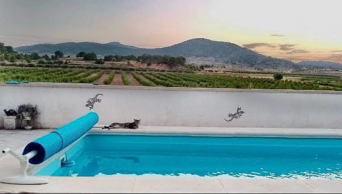 Semi-detached House Of 887 M² In Pinoso, Spain
