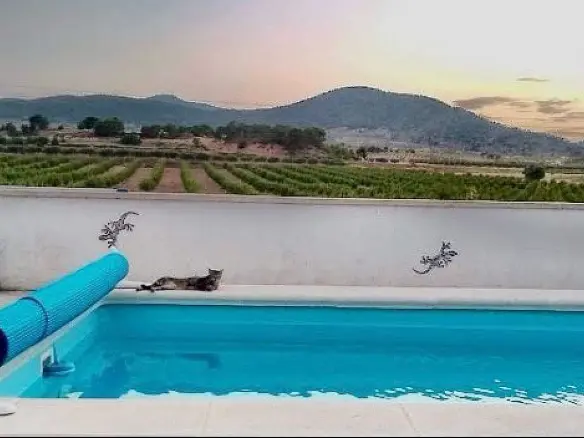 5-bedroom Semi In Pinoso, Spain (887 M²)