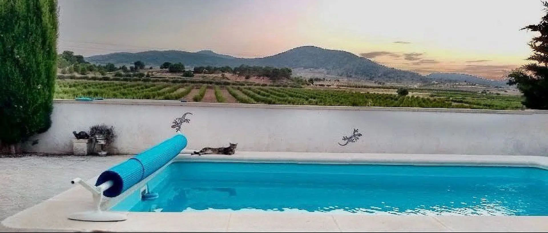 Semi-detached House Of 887 M² In Pinoso, Spain