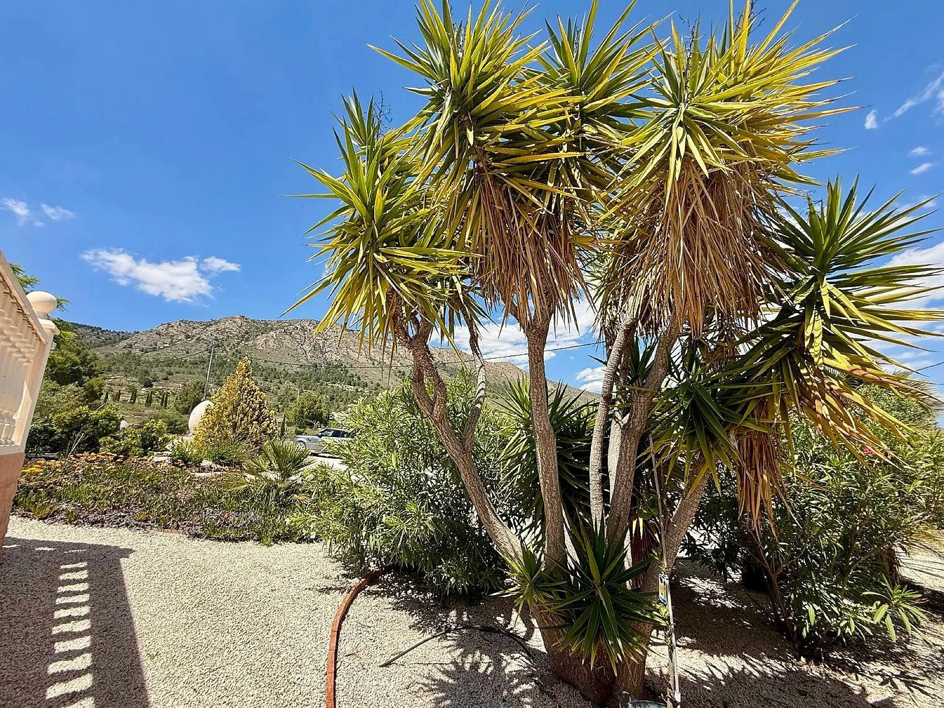 Detached Villa Of 165 M² In La Romana, Spain