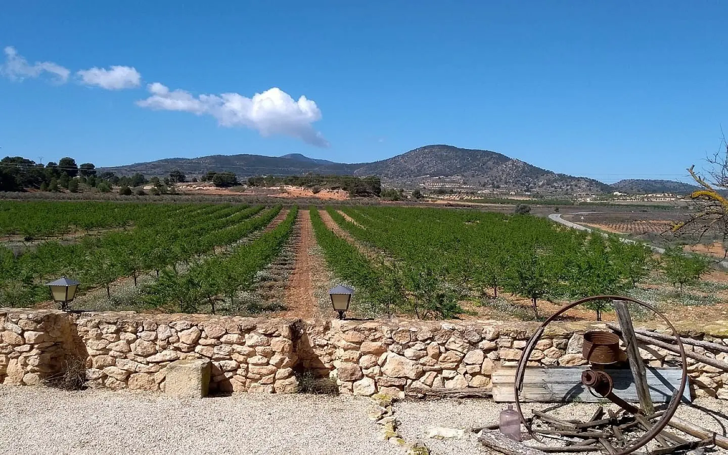 Semi-detached House Of 887 M² In Pinoso, Spain