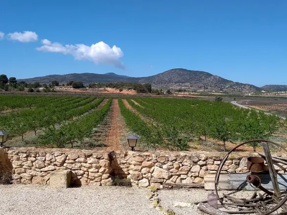5-bedroom Semi In Pinoso, Spain (887 M²)
