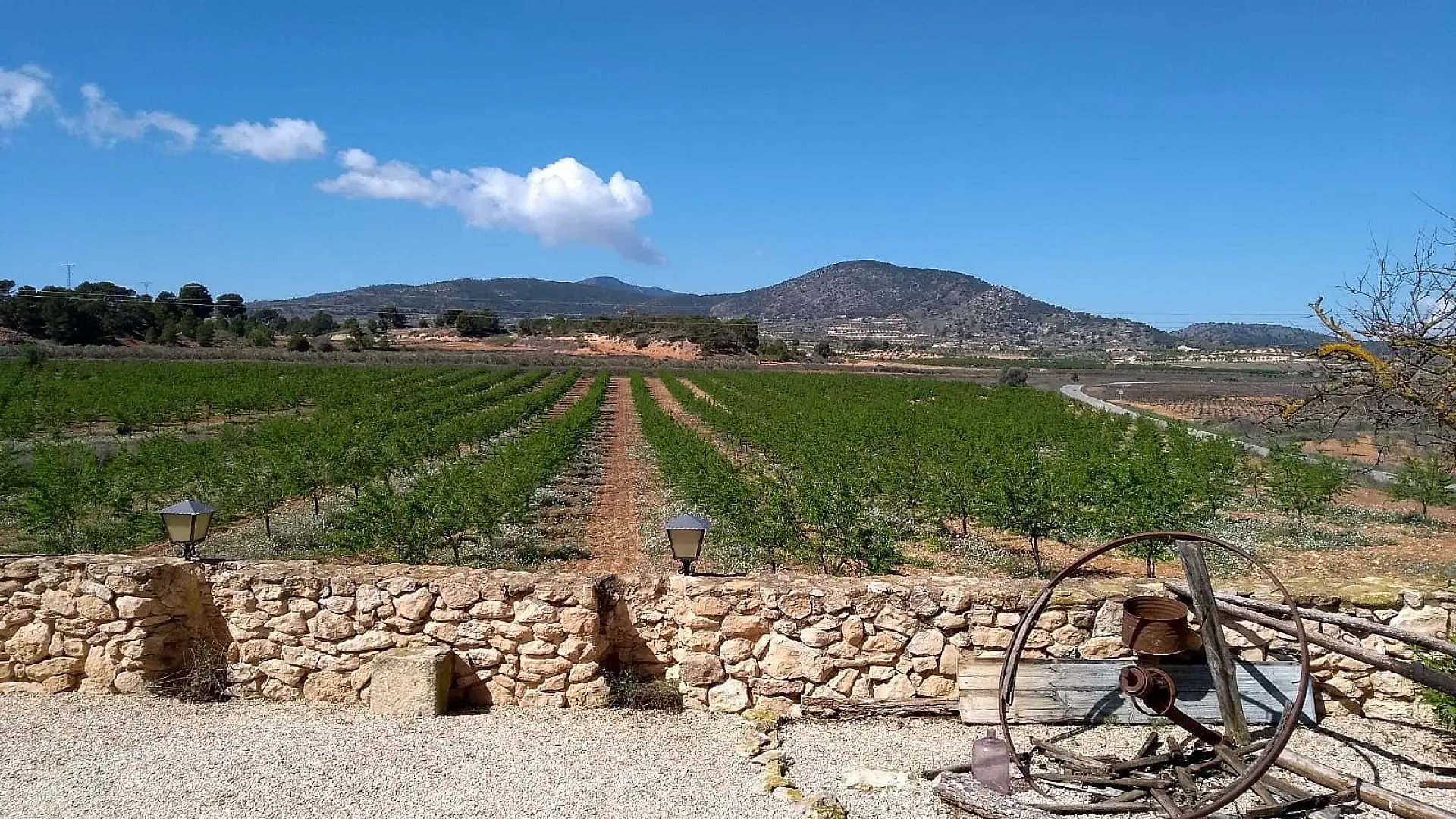 Semi-detached House Of 887 M² In Pinoso, Spain