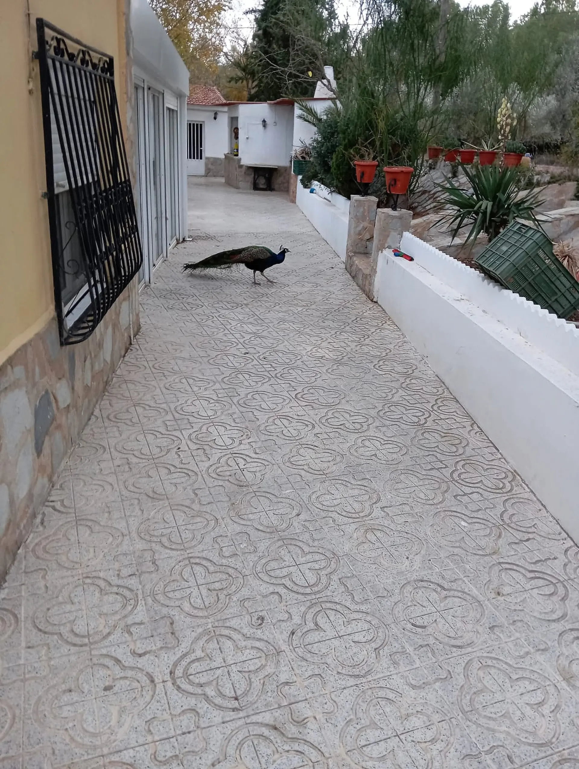 Detached Villa Of 222 M² In Sax, Spain