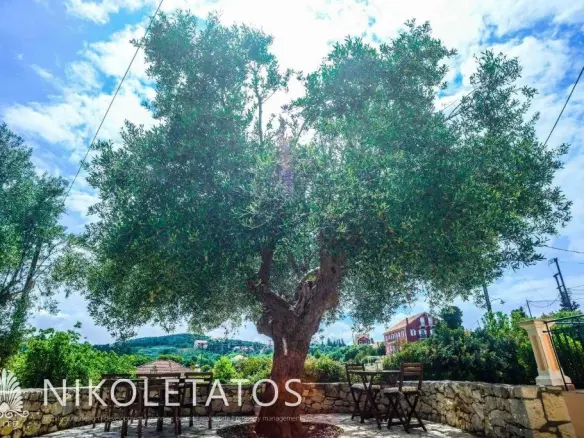 Commercial Property In Greece