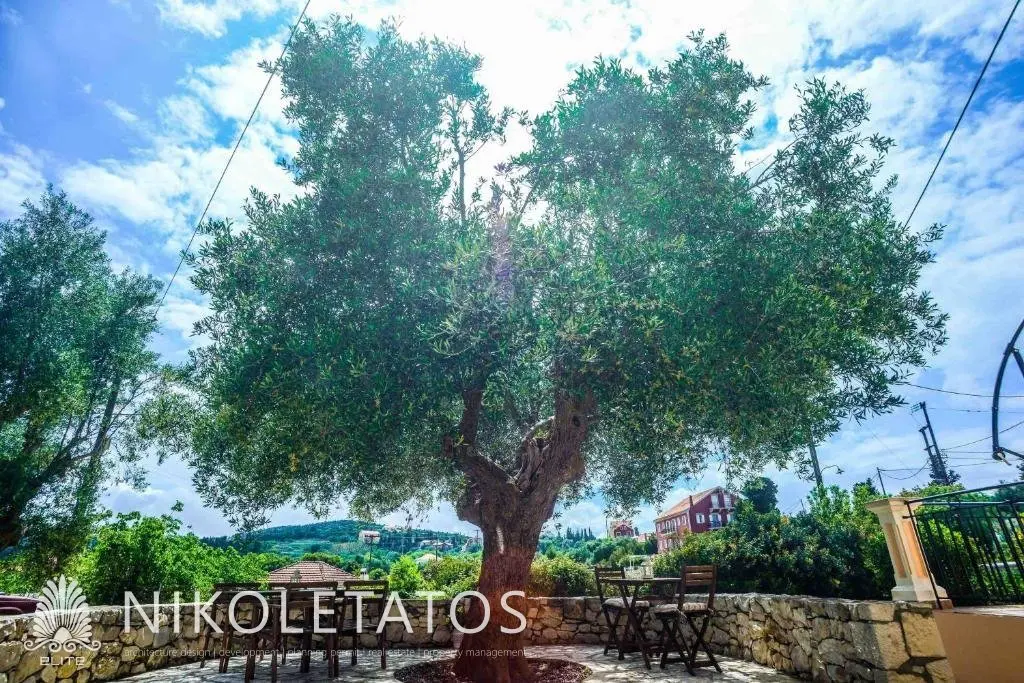 Commercial Property In Greece