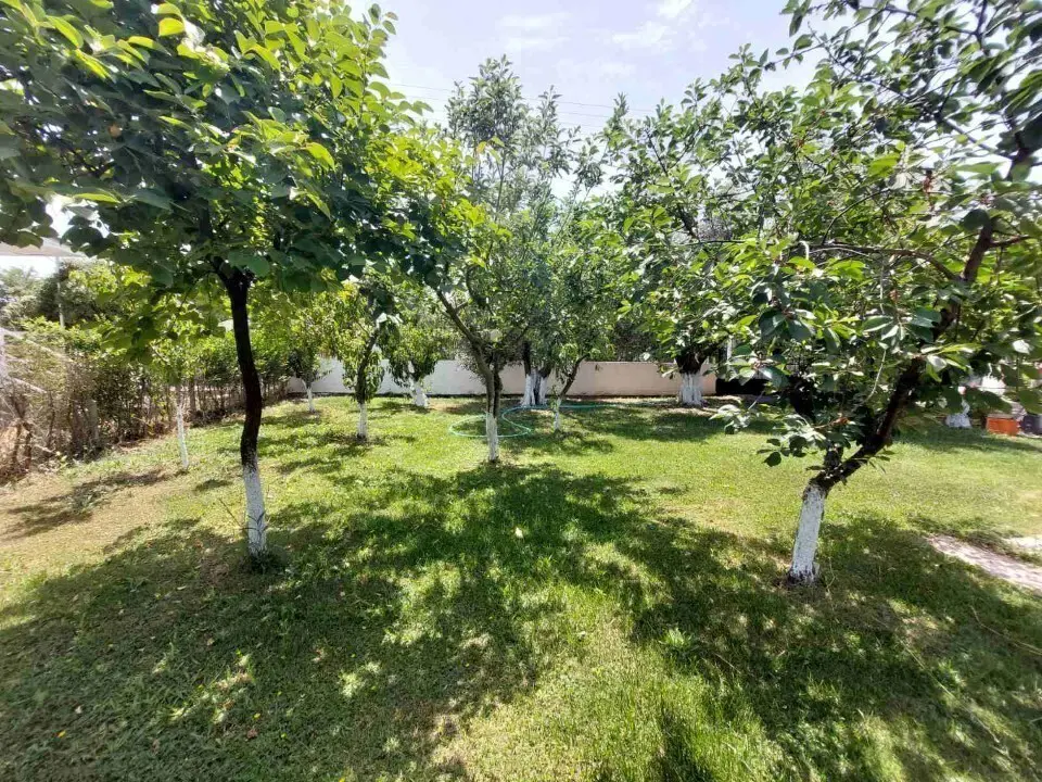 Detached House Of 85 M² In Sithonia, Chalkidiki