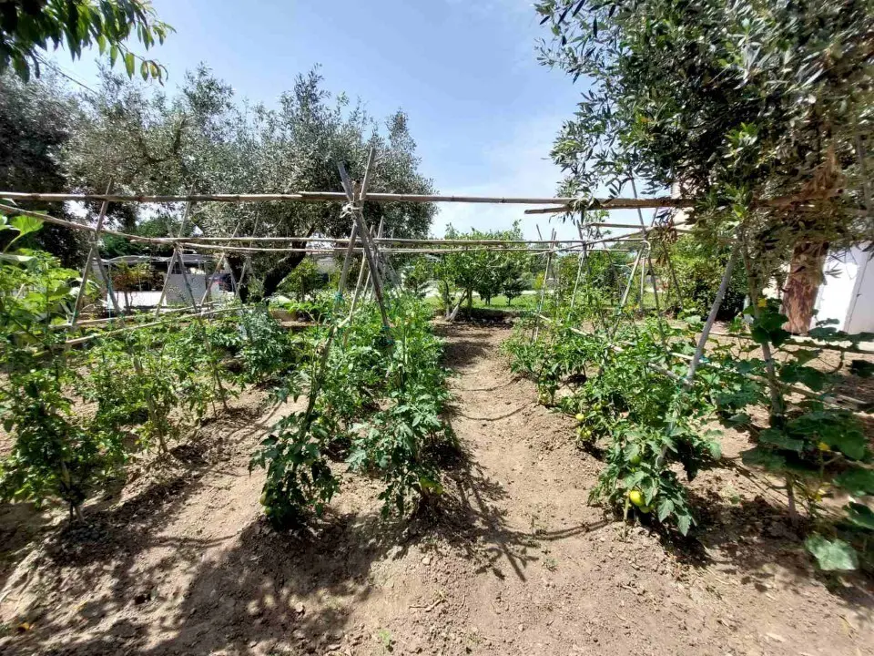 Detached House Of 85 M² In Sithonia, Chalkidiki