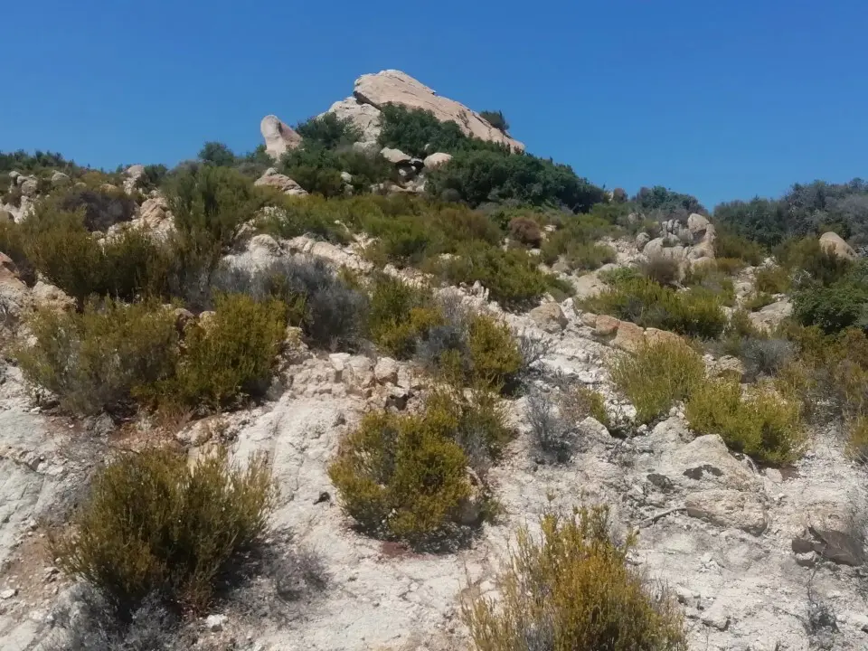 Land Of 500 M² In Sithonia, Chalkidiki