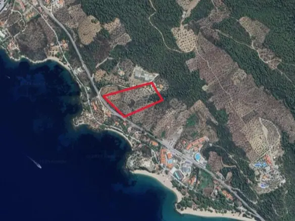 Land In Sithonia, Greece