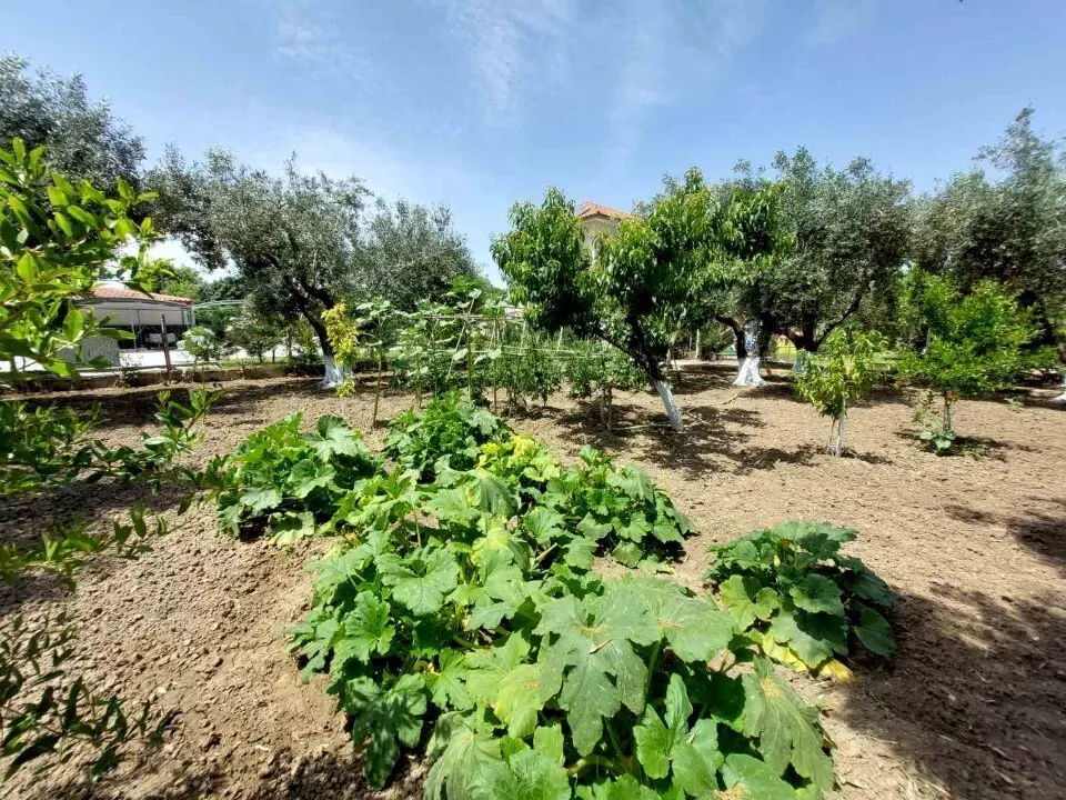 Detached House Of 85 M² In Sithonia, Chalkidiki