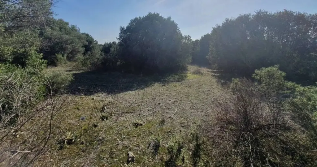 Land Of 23000 M² In Sithonia, Chalkidiki