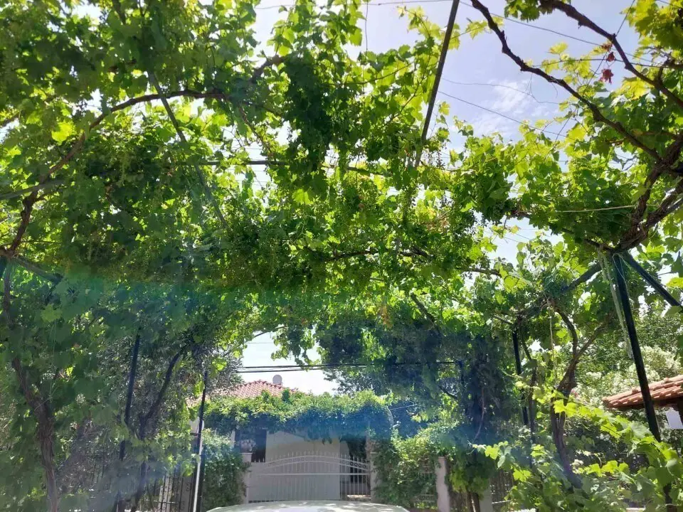 Detached House Of 85 M² In Sithonia, Chalkidiki