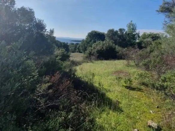Land In Sithonia, Greece