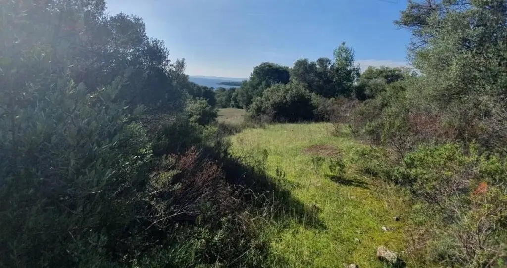 Land Of 23000 M² In Sithonia, Chalkidiki