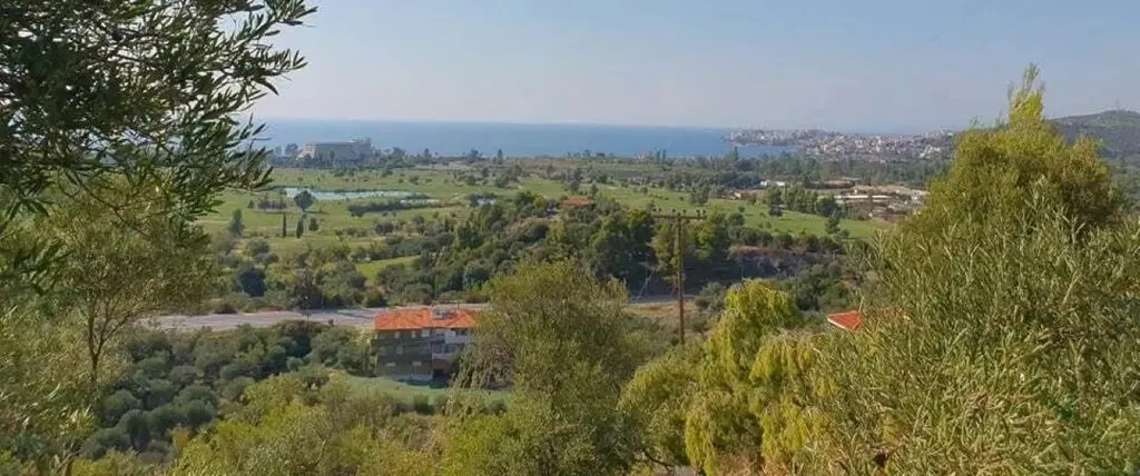 Land Of 23000 M² In Sithonia, Chalkidiki