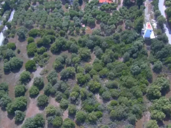 Land In Sithonia, Greece