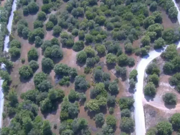 Land In Sithonia, Greece