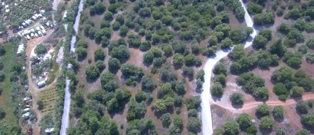 Land Of 23000 M² In Sithonia, Chalkidiki