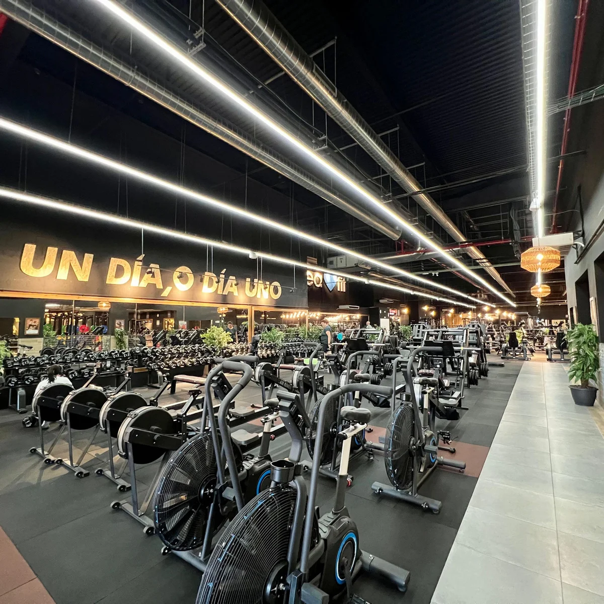Commercial Of 6013 M² In Terrassa, Spain