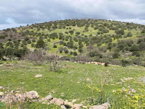 Land In Neapoli, Greece