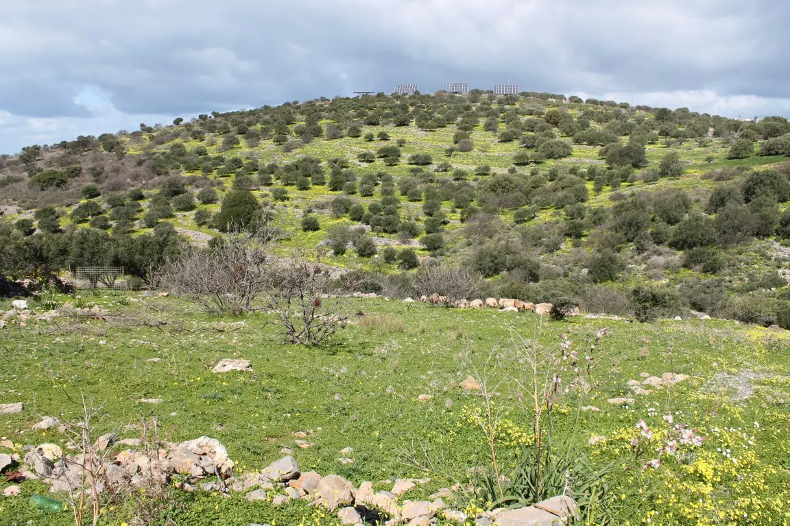 Land Of 10800 M² In Crete