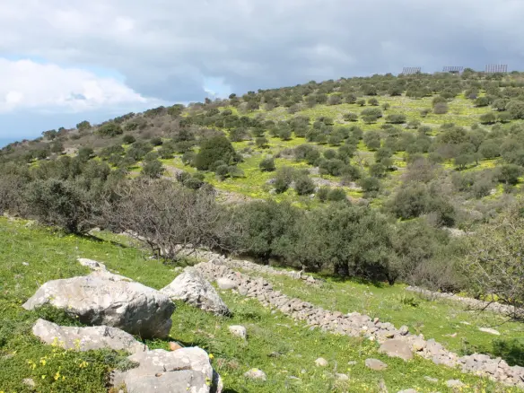 Land In Neapoli, Greece