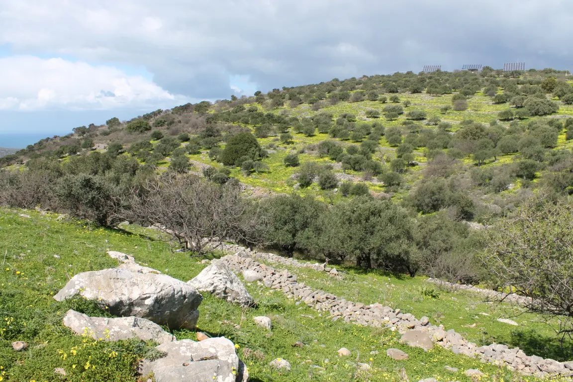 Land Of 10800 M² In Crete
