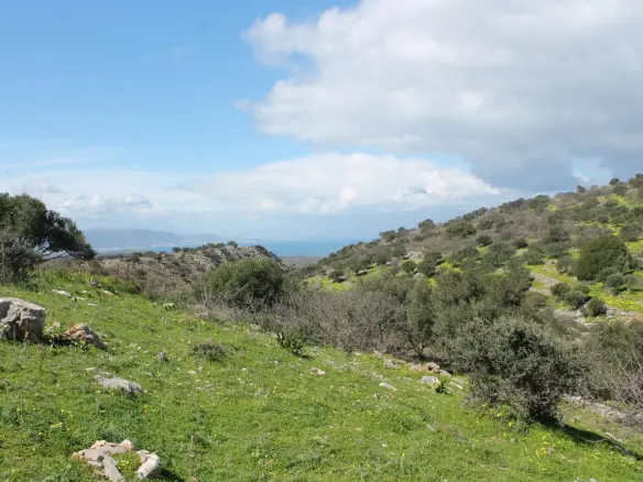 Land In Neapoli, Greece