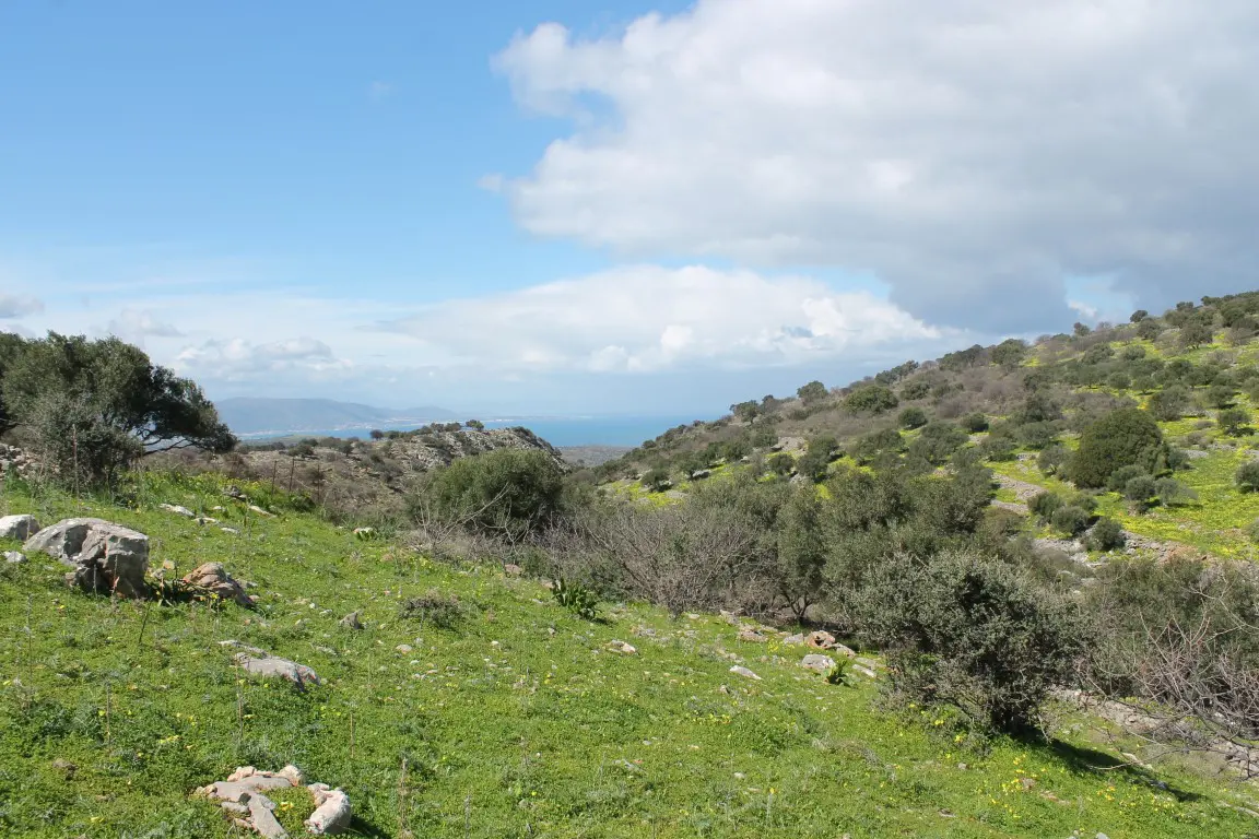 Land Of 10800 M² In Crete